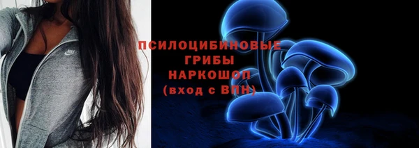 мескалин Надым