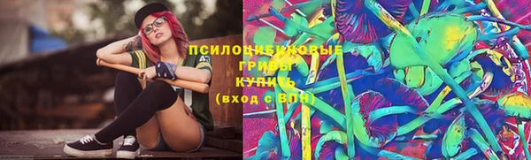 мескалин Надым