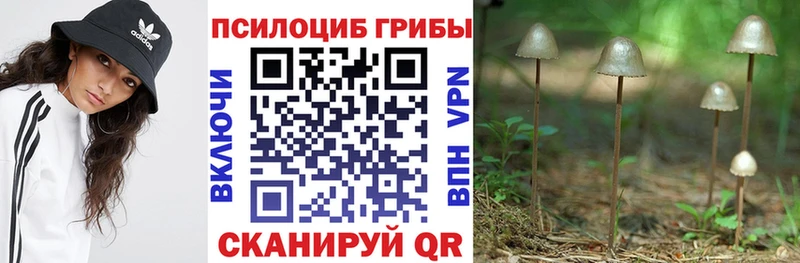 Галлюциногенные грибы MAGIC MUSHROOMS  Купить где  Кызыл 